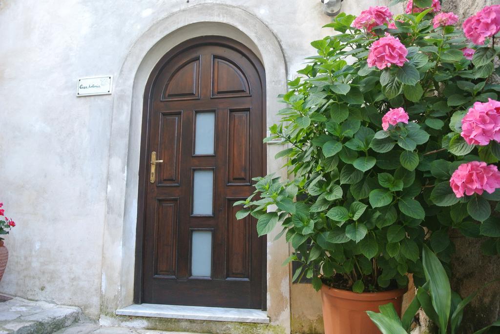 B&B Casa Antonia Trentinara Εξωτερικό φωτογραφία